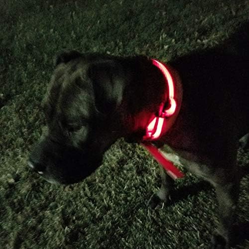 Vad Pet LED Villogó Fényvisszaverő Állítható Biztonsági Pet Gallér, Nagy, Piros